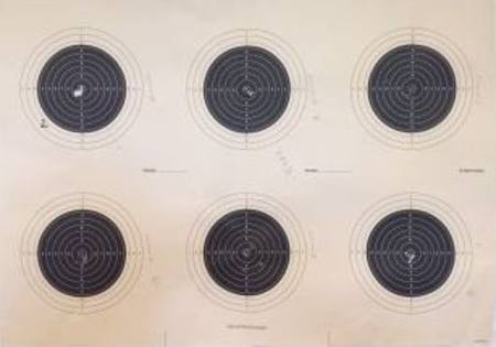 6-Bull 50m outdoor targets